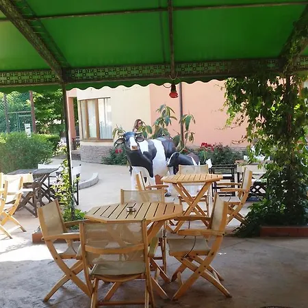 Aparthotel Apartcomplex Panorama Dreams Sveti Vlas